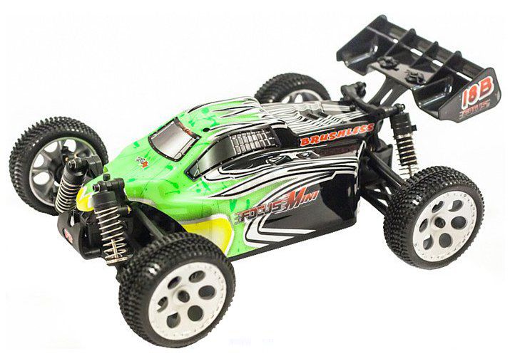 Fs Racing Buggy FOCUS 1:18 RTR